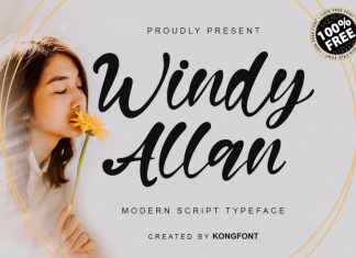 Windy Allan Script Font