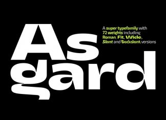 Asgard Sans Serif Font
