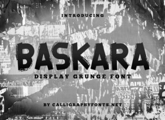 Baskara Brush Font