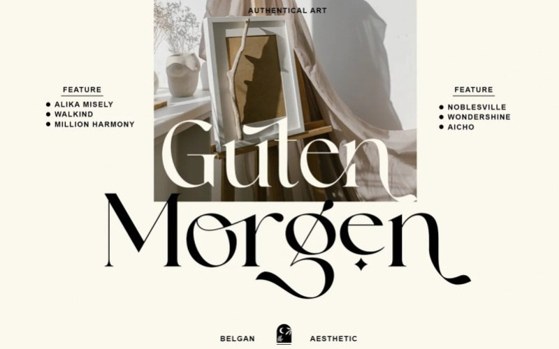 Belgan Aesthetic Serif Font