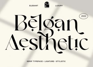 Belgan Aesthetic Serif Font