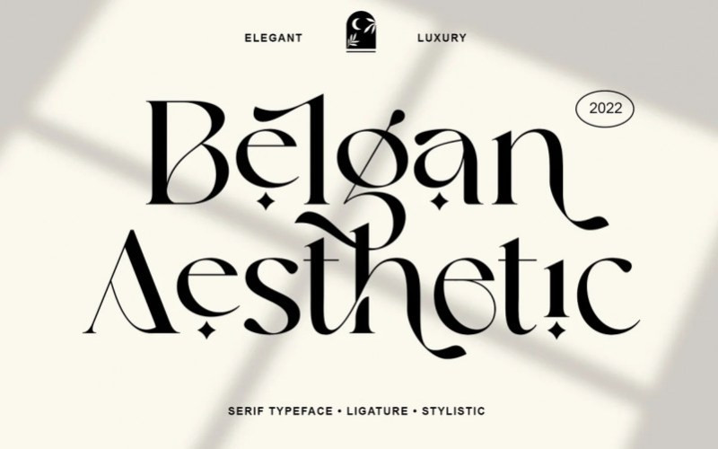 Belgan Aesthetic Serif Font - Demofont.com