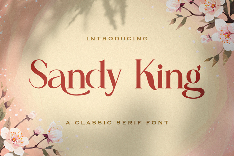 Sandy King Serif Font