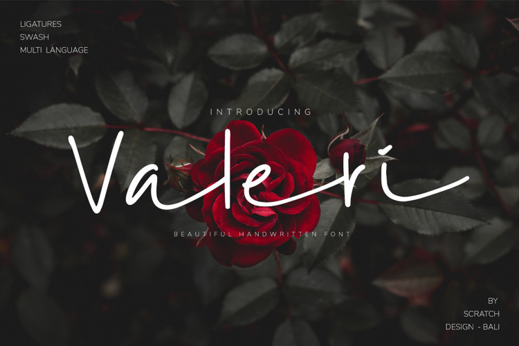 Valeri Script Font