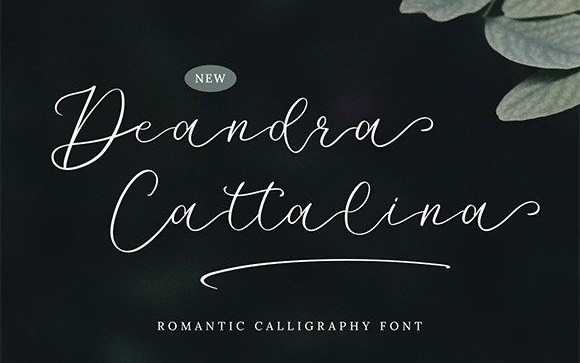 Deandra Cattalina Handwritten Font