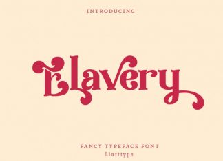 Elvery Serif Font