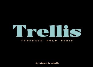 Trellis Serif Font