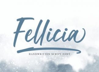 Fellicia Script Font
