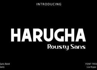 Harugha Sans Serif Font