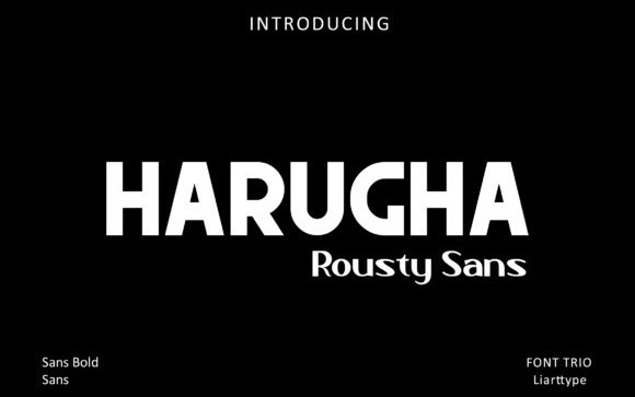 Harugha Sans Serif Font