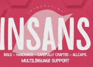 Insans Display Font