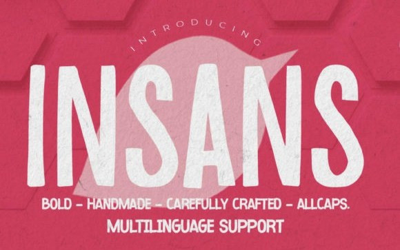 Insans Display Font