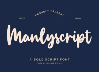 Manlyscript Handwritten Font