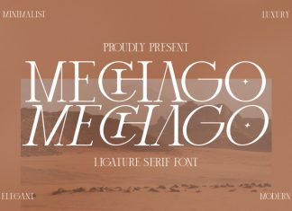 Mechago Serif Font