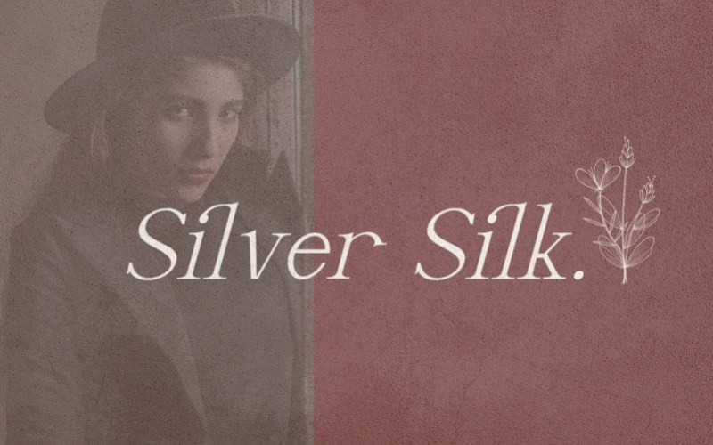 Silver Silk Serif Font