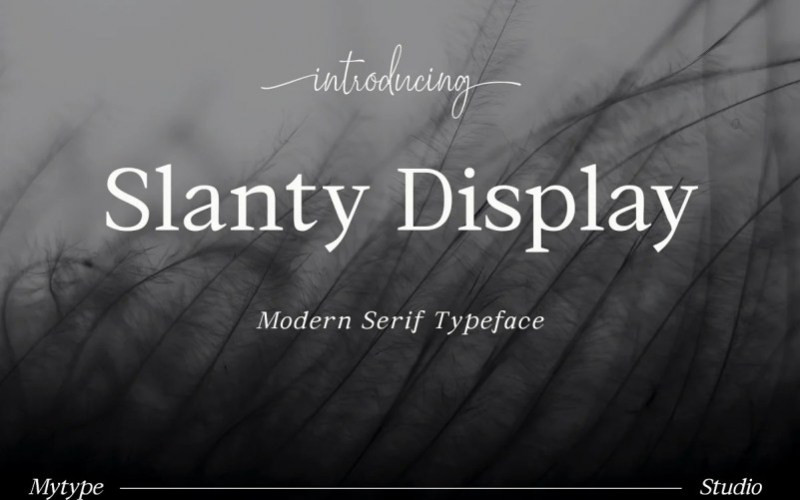 Slanty Display Serif Font