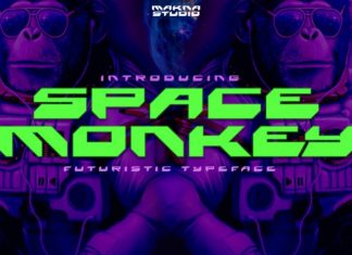 Space Monkey Font