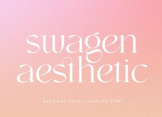 Swagen Aesthetic Serif Font