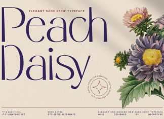 Peach Daisy Sans Serif Font