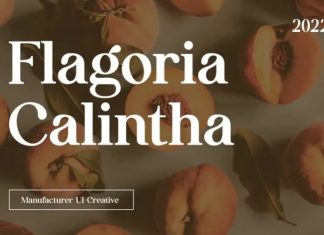 Flagoria Caintha Serif Font