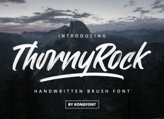 ThornyRock Brush Font
