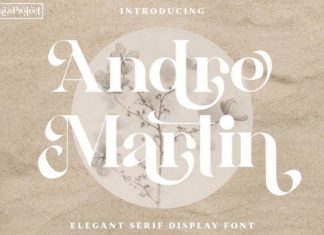 Andre Martin Serif Font