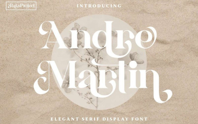 Andre Martin Serif Font