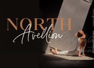 North Avellion Font Duo