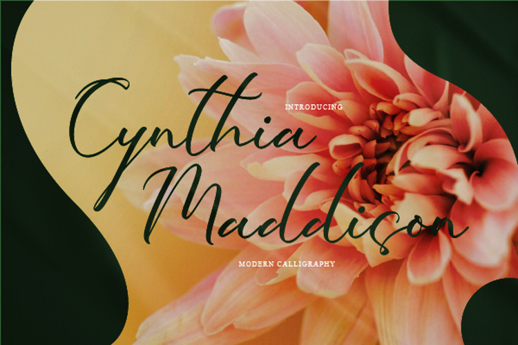 Cynthia Maddison Script Font