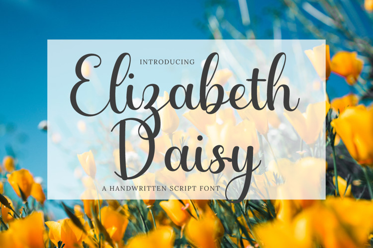 Elizabeth Daisy Script Font