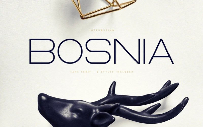 Bosnia Sans Serif Font