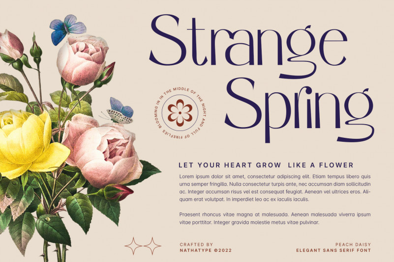 Peach Daisy Sans Serif Font