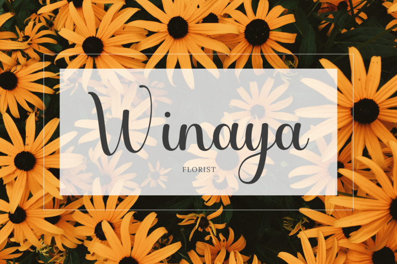 Elizabeth Daisy Script Font