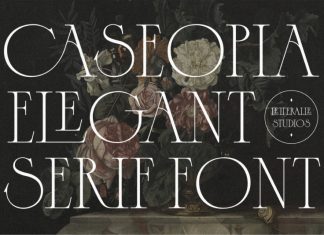 Caseopia Serif Font