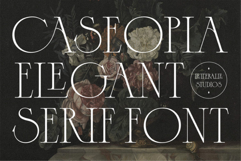 Caseopia Serif Font