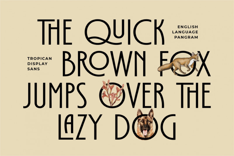 Tropican Display Font