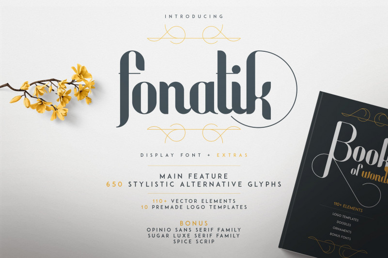 FONATIK Display Font