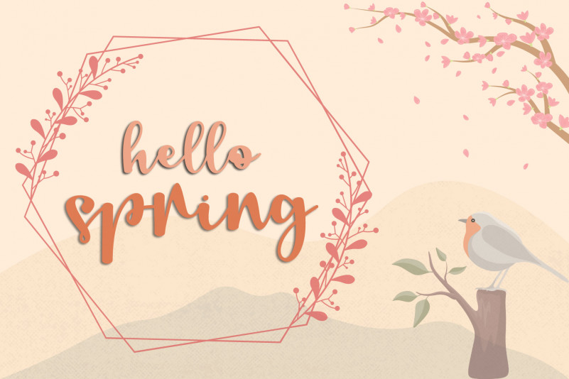 Risen Spring Script Font