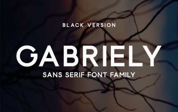 Gabriely Sans Serif Font