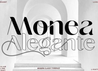 Monea Alegante Sans Serif Font