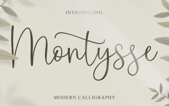 Montysse Script Font