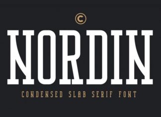 Nordin Slab Serif Font