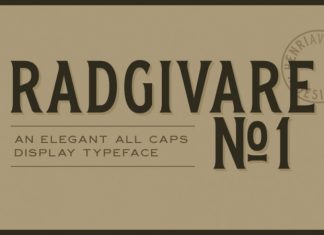 Radgivare No 1 Serif Font