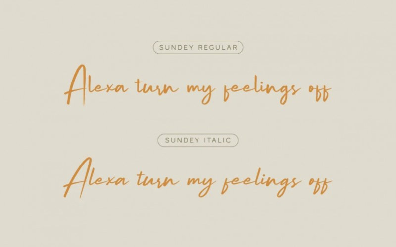 Sundey Handwritten Font