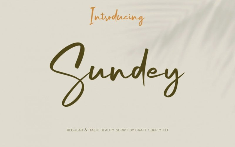 Sundey Handwritten Font