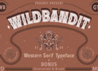 Wild Bandit Display Font