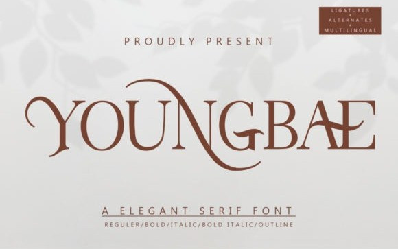 Youngbae Serif Font