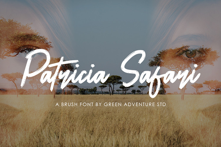 Patricia Safari Brush Font