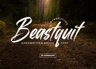 Beastquit Script Font