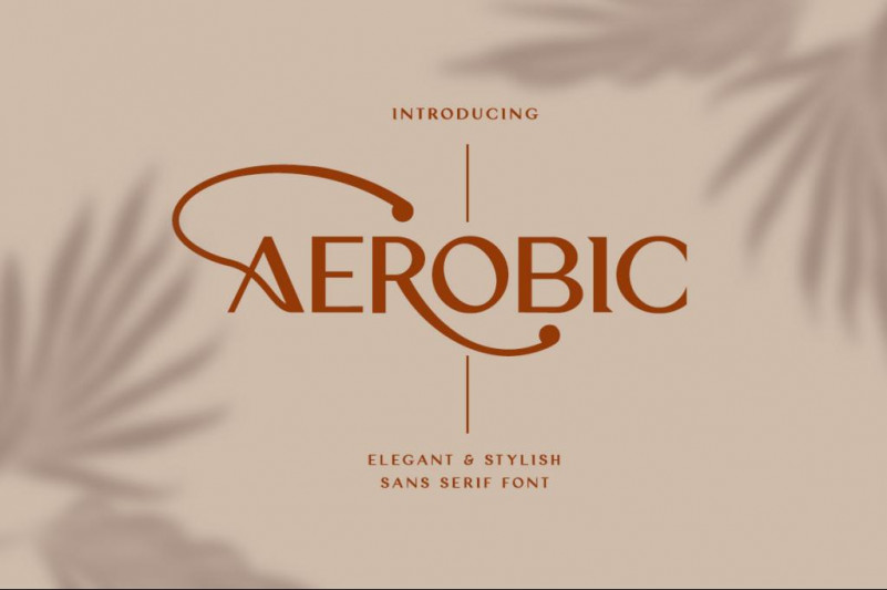 Aerobic Sans Serif Font